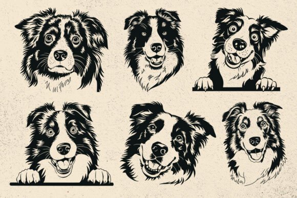 Border Collie Svg for Crafts and Graphics